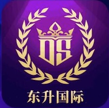 东升娱乐